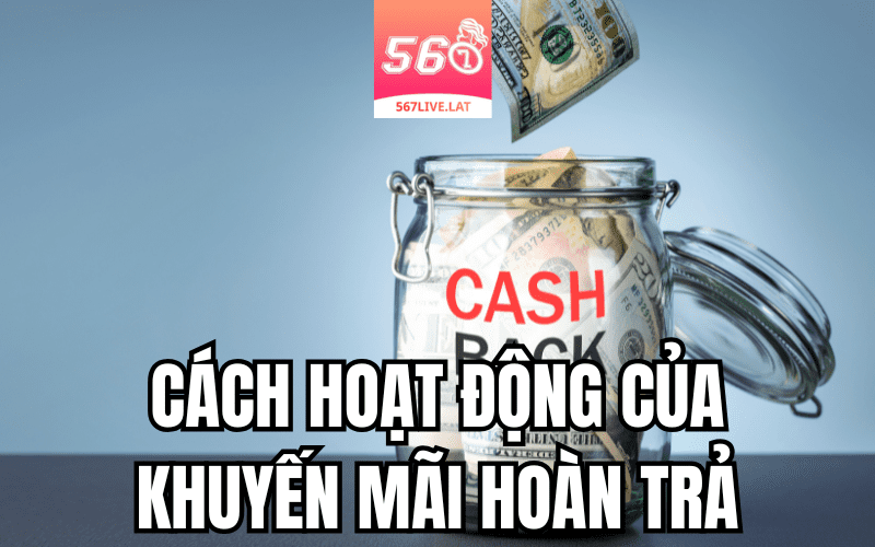 Cách Hoạt Động Của Tỷ Lệ Hoàn Trả 3%