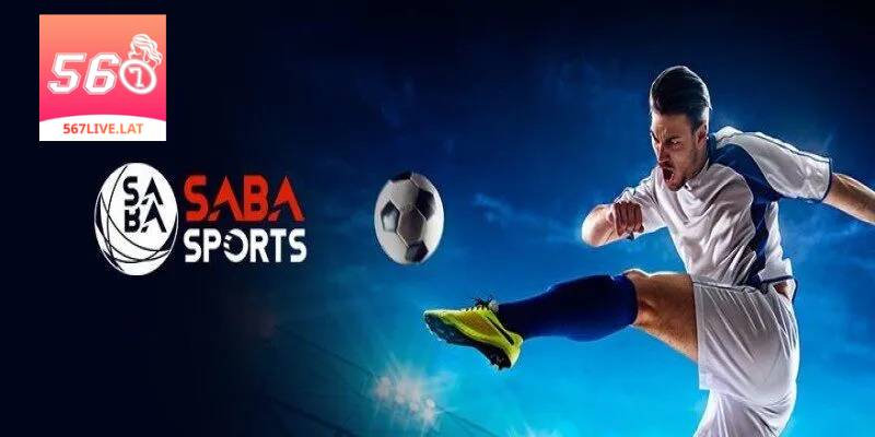 Tìm hiểu thể thao 567 Live